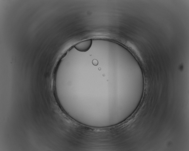 X0000091721419200708241009