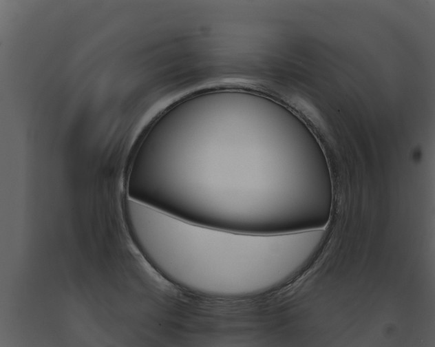 X0000091721420200708241009