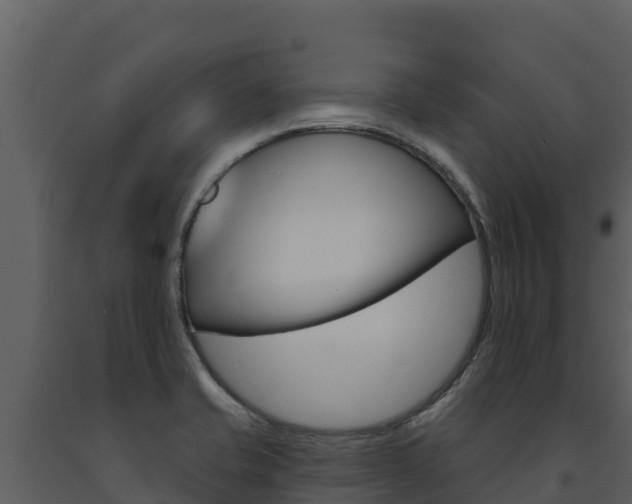 X0000091721421200708241009