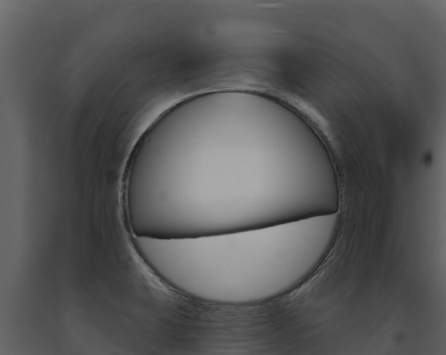 X0000091721423200708241009