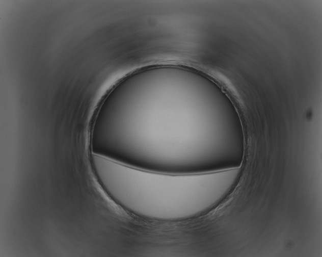X0000091721424200708241009