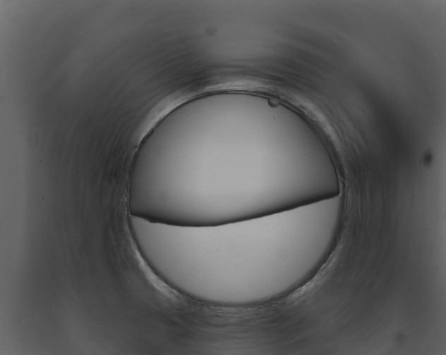 X0000091721425200708241009