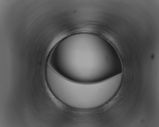 X0000091721426200708241009