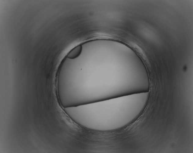 X0000091721427200708241009