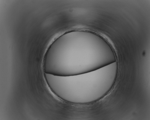 X0000091721429200708241009
