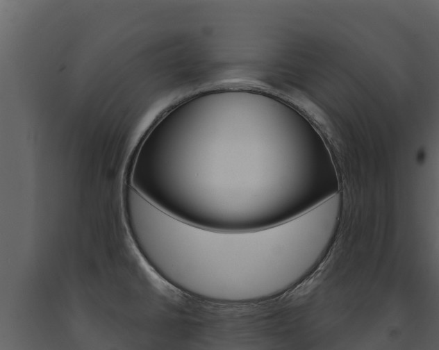 X0000091721430200708241009