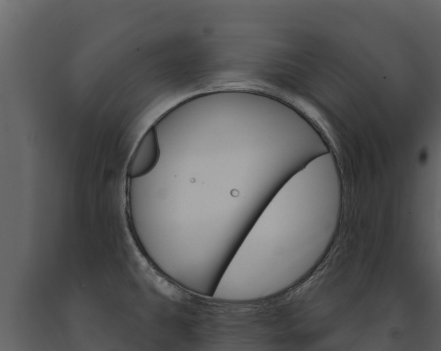 X0000091721431200708241009