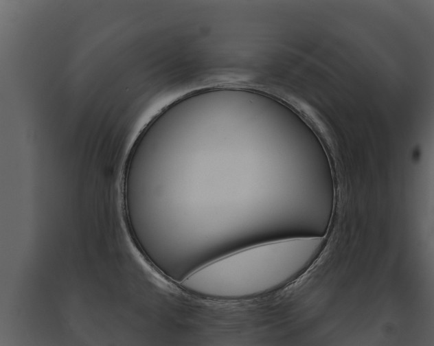 X0000091721432200708241009