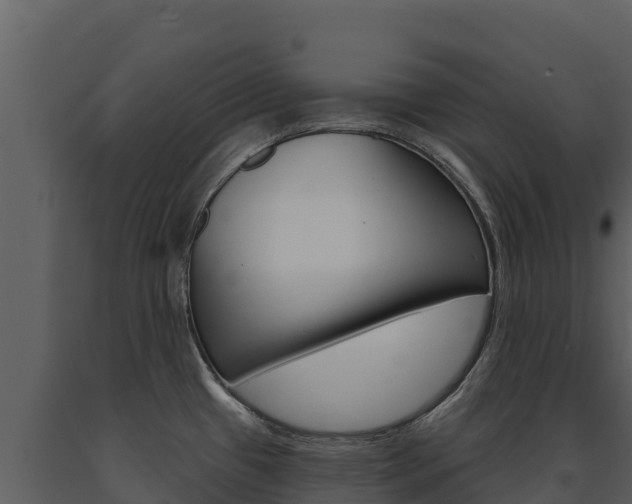 X0000091721433200708241009