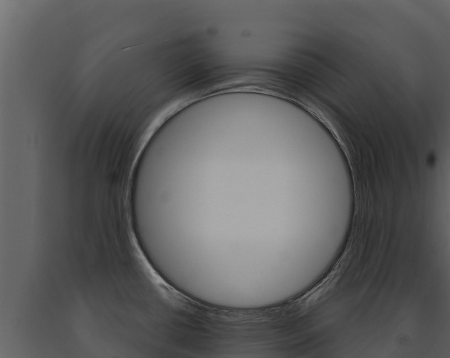 X0000091721434200708241009