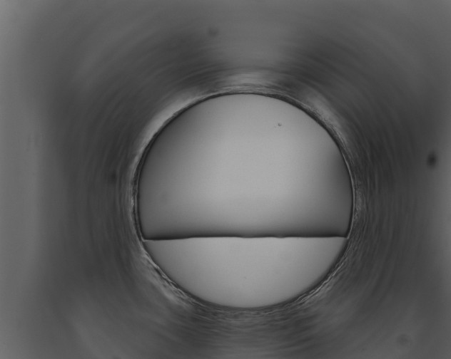 X0000091721435200708241009