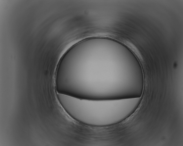 X0000091721436200708241009