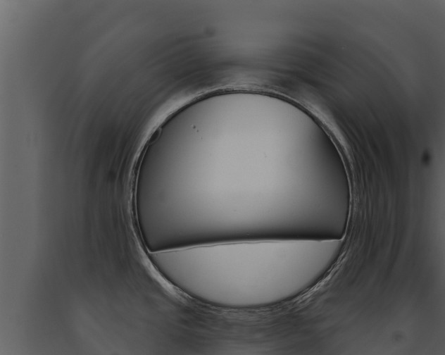 X0000091721437200708241009