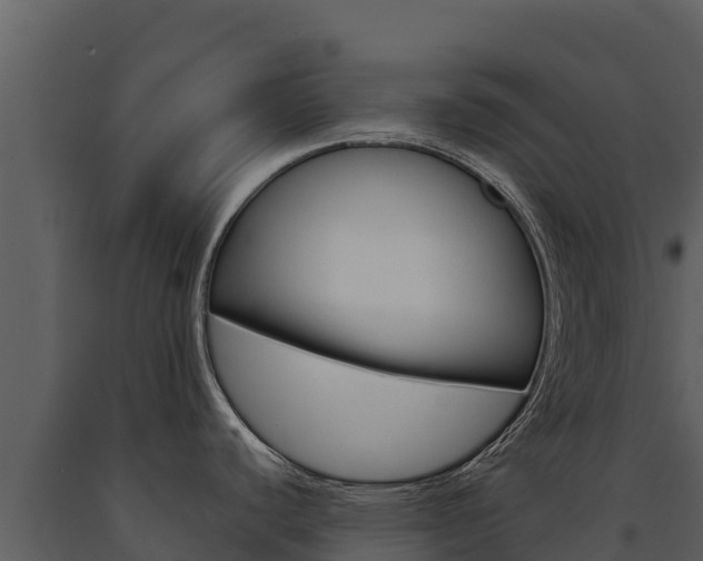X0000091721440200708241009
