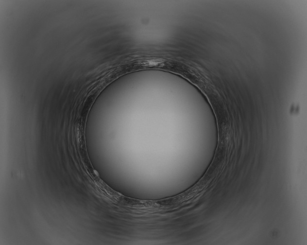 X0000091721442200708241008