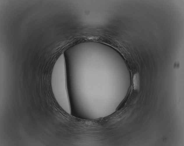 X0000091721443200708241008