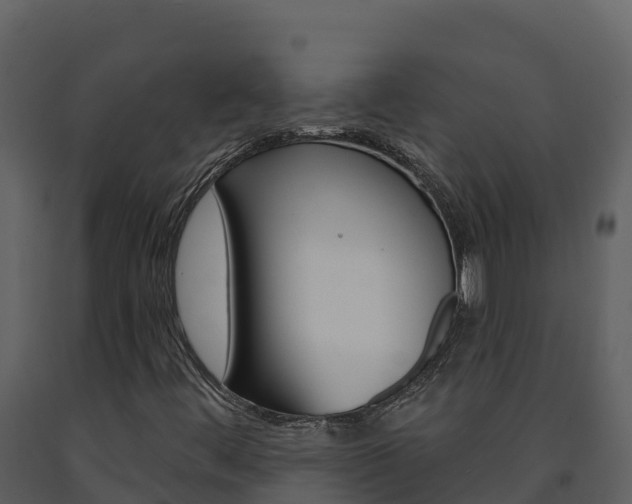 X0000091721444200708241008
