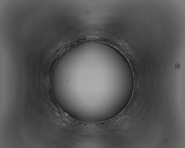 X0000091721445200708241008