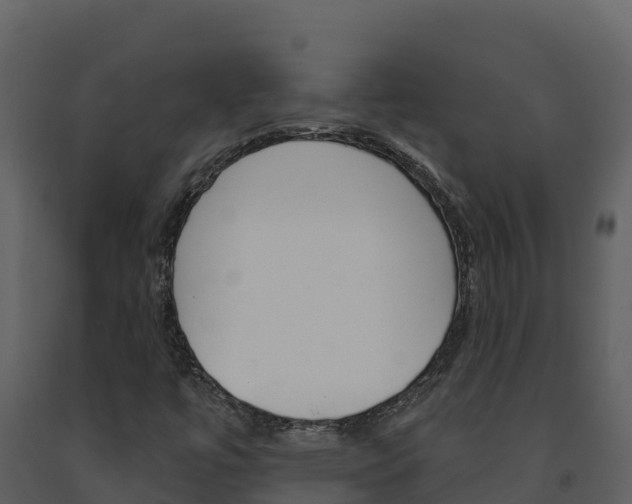 X0000091721447200708241008
