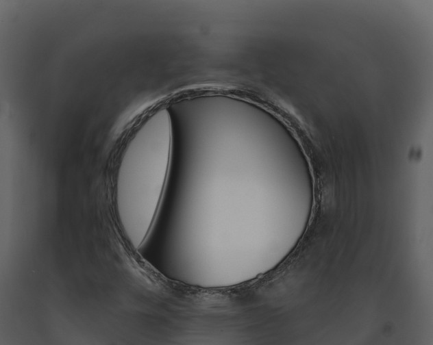 X0000091721448200708241008