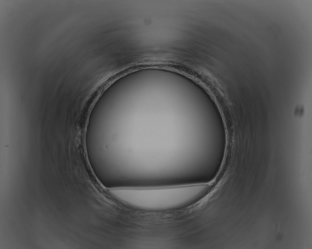 X0000091721449200708241008