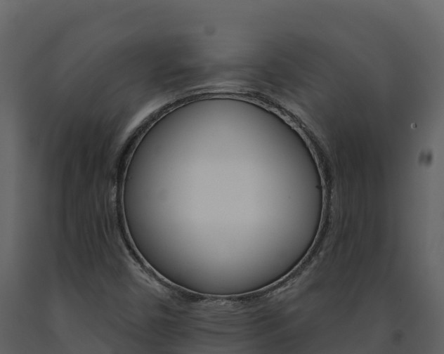 X0000091721450200708241008