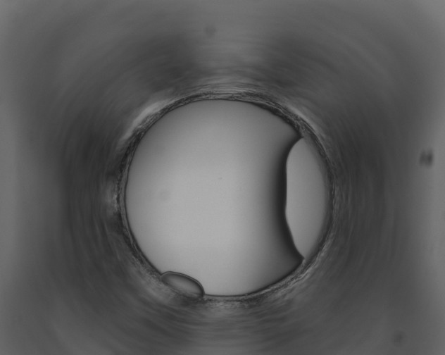 X0000091721451200708241008