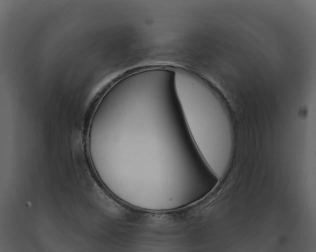X0000091721452200708241008