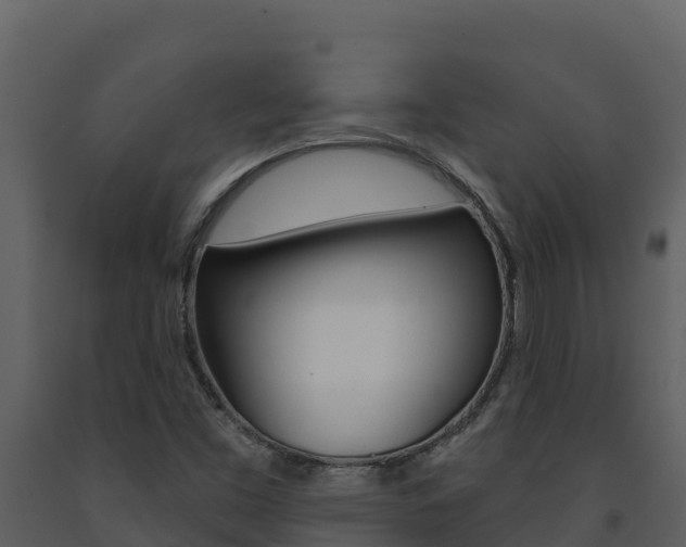 X0000091721453200708241008