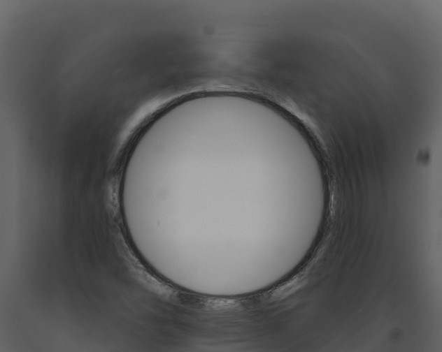 X0000091721454200708241008