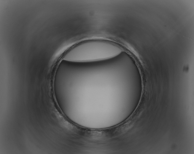 X0000091721456200708241008