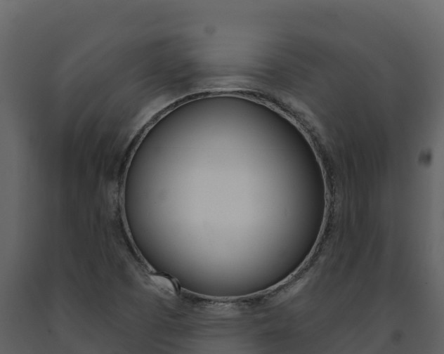 X0000091721457200708241008