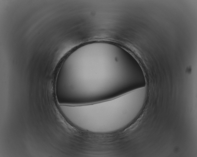 X0000091721458200708241008