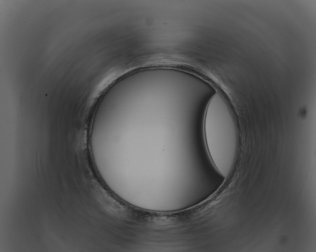 X0000091721459200708241008