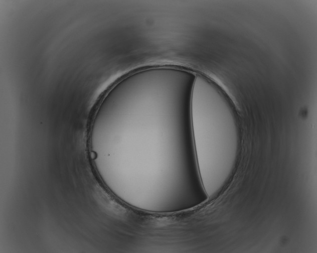 X0000091721460200708241008