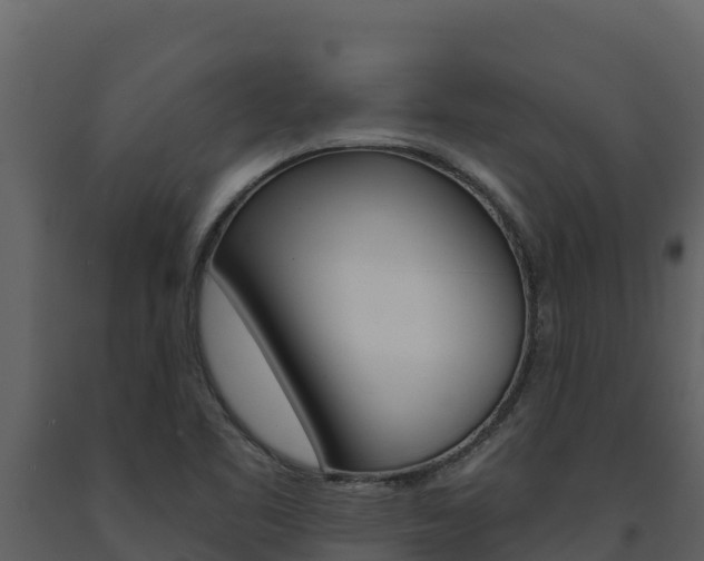 X0000091721461200708241008