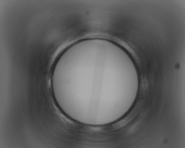 X0000091721462200708241008