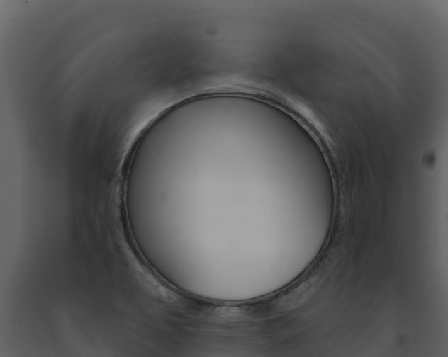 X0000091721463200708241008