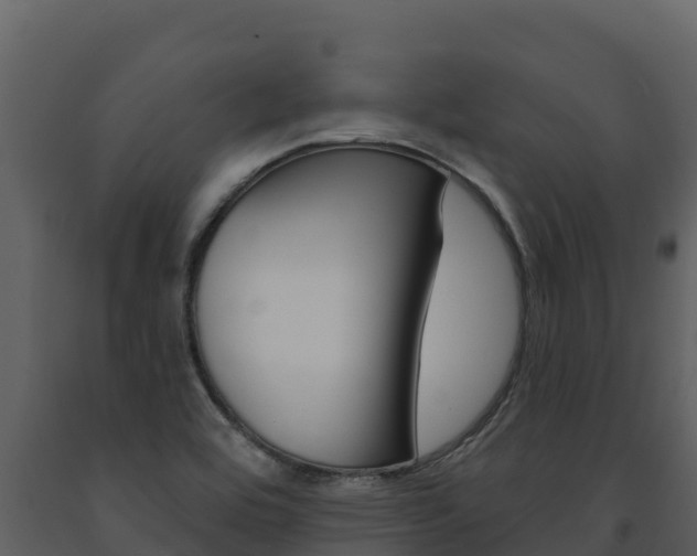 X0000091721464200708241008