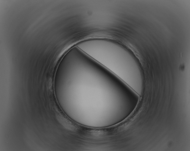 X0000091721465200708241008