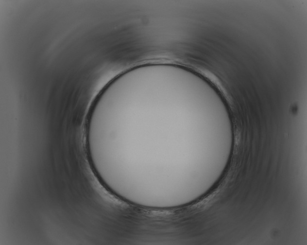 X0000091721466200708241008