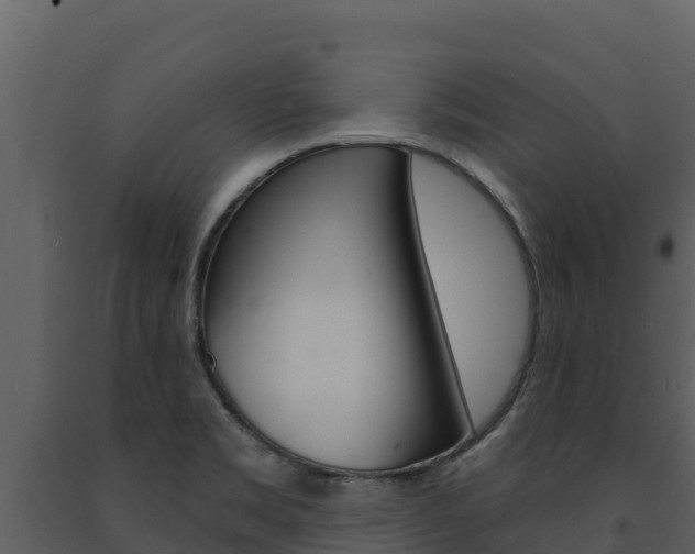 X0000091721469200708241008