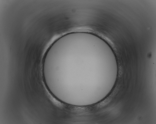 X0000091721470200708241008