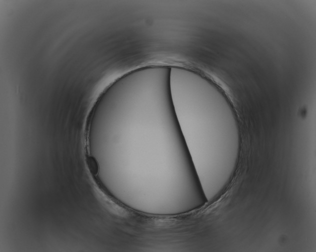 X0000091721471200708241008