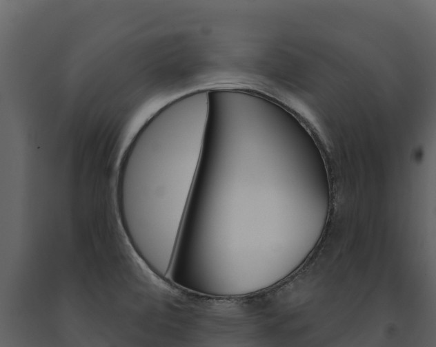 X0000091721472200708241008