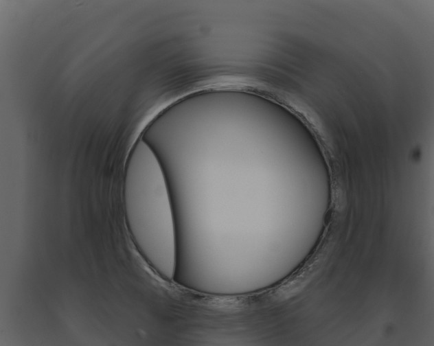 X0000091721473200708241008