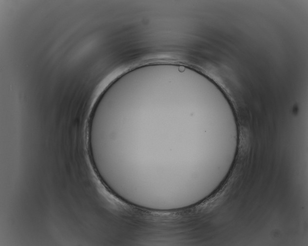 X0000091721474200708241008