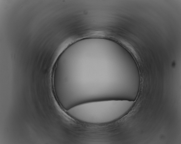 X0000091721475200708241008