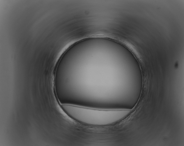 X0000091721476200708241008