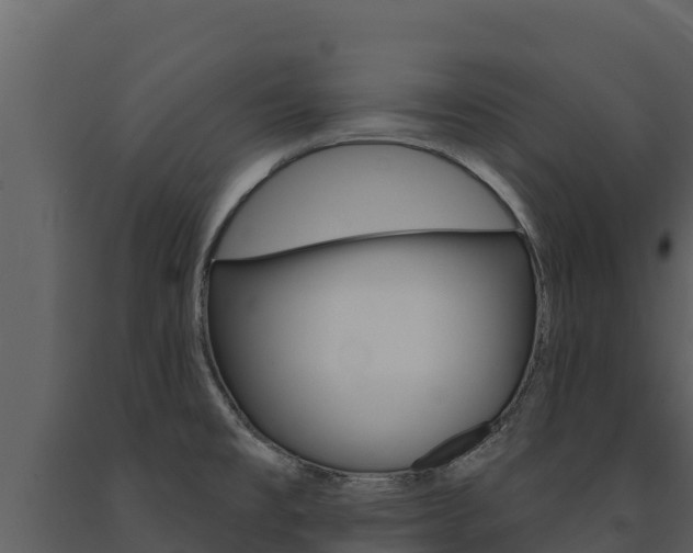 X0000091721477200708241008